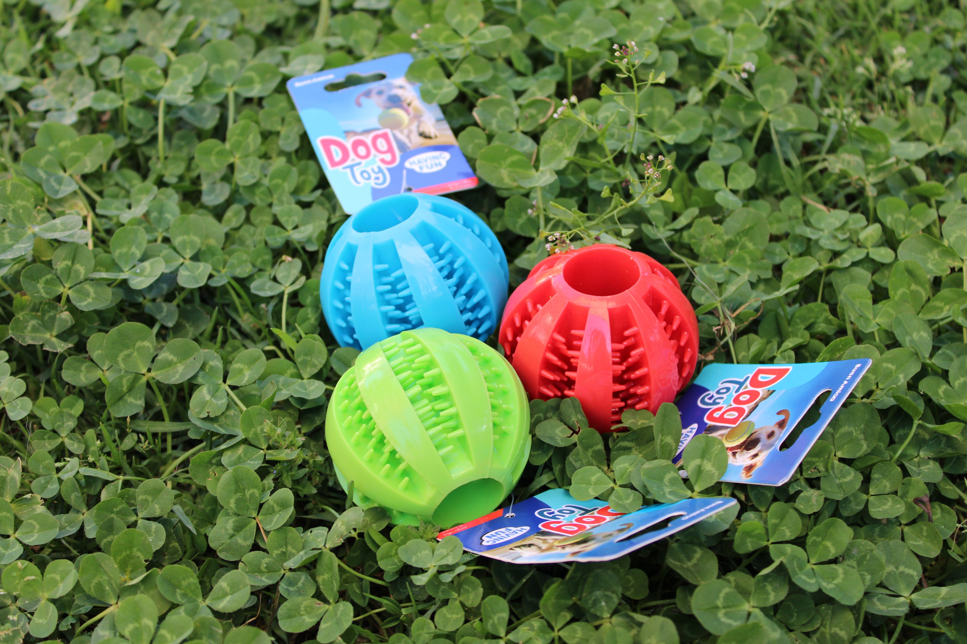 🧽 Pelota de goma dentada