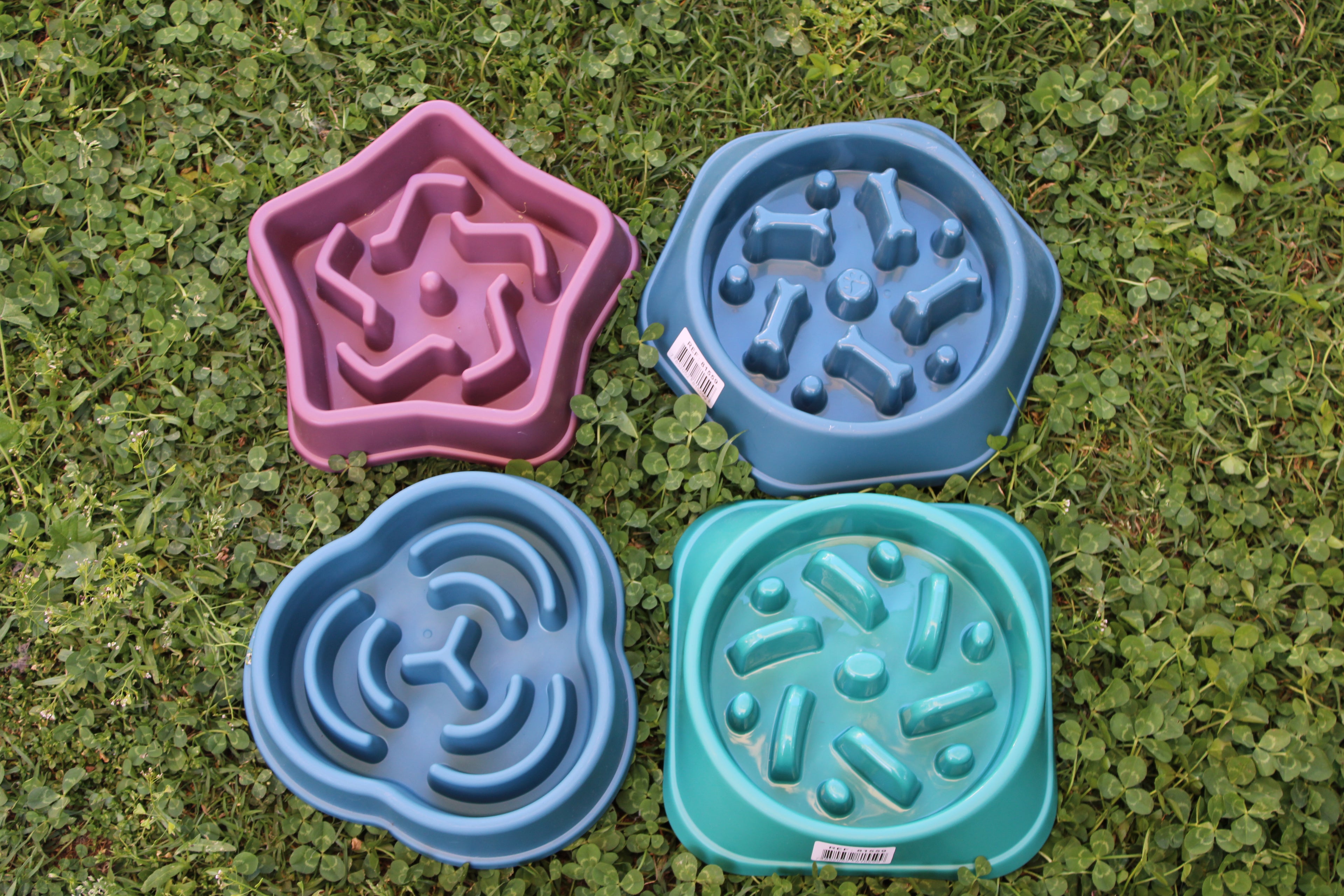 🍽️ Comedero lento outlet