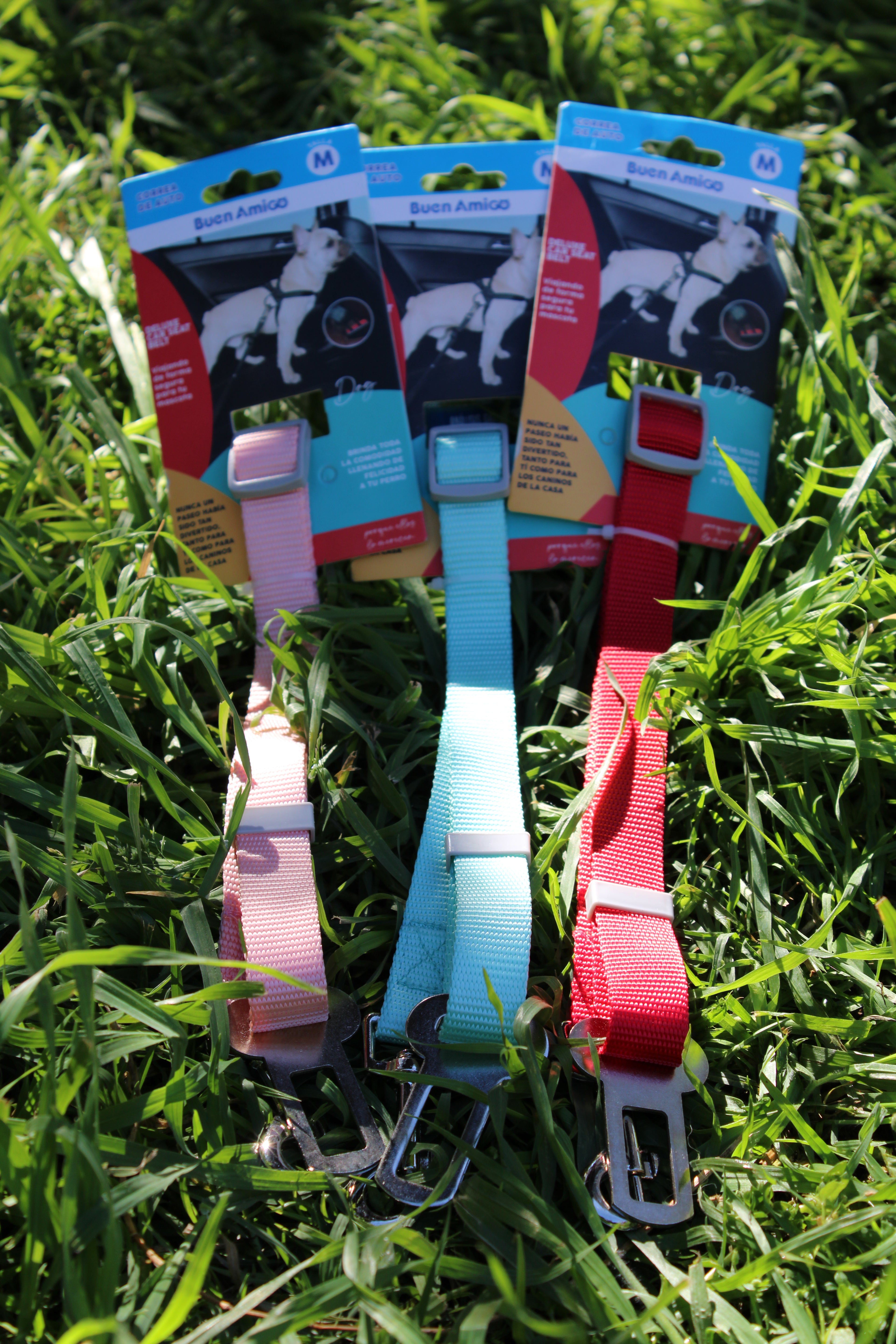 🦮 Correa auto 2,0 cm