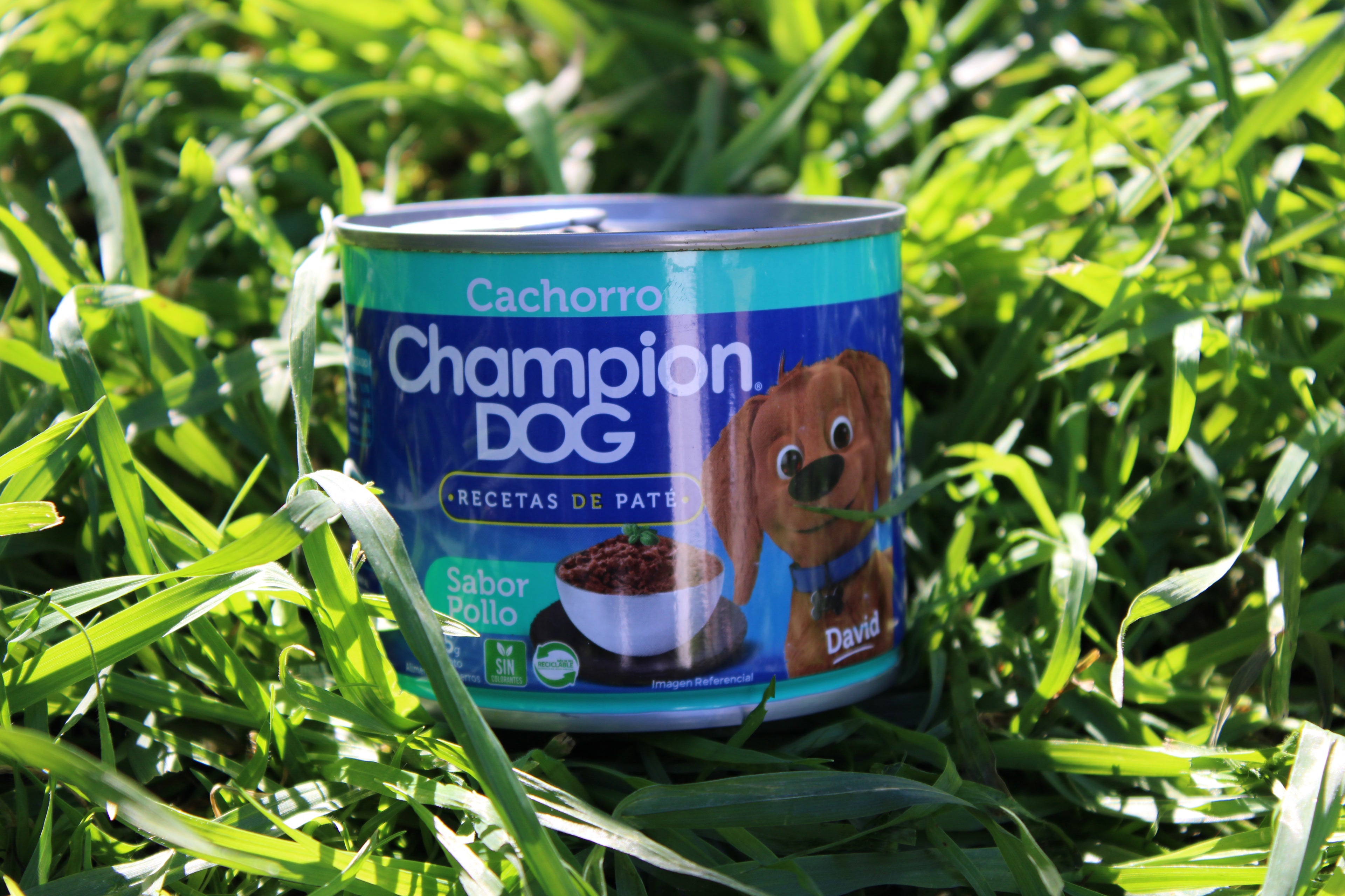 🐶 Lata Champion Dog Cachorro Paté Sabor Pollo 315 g
