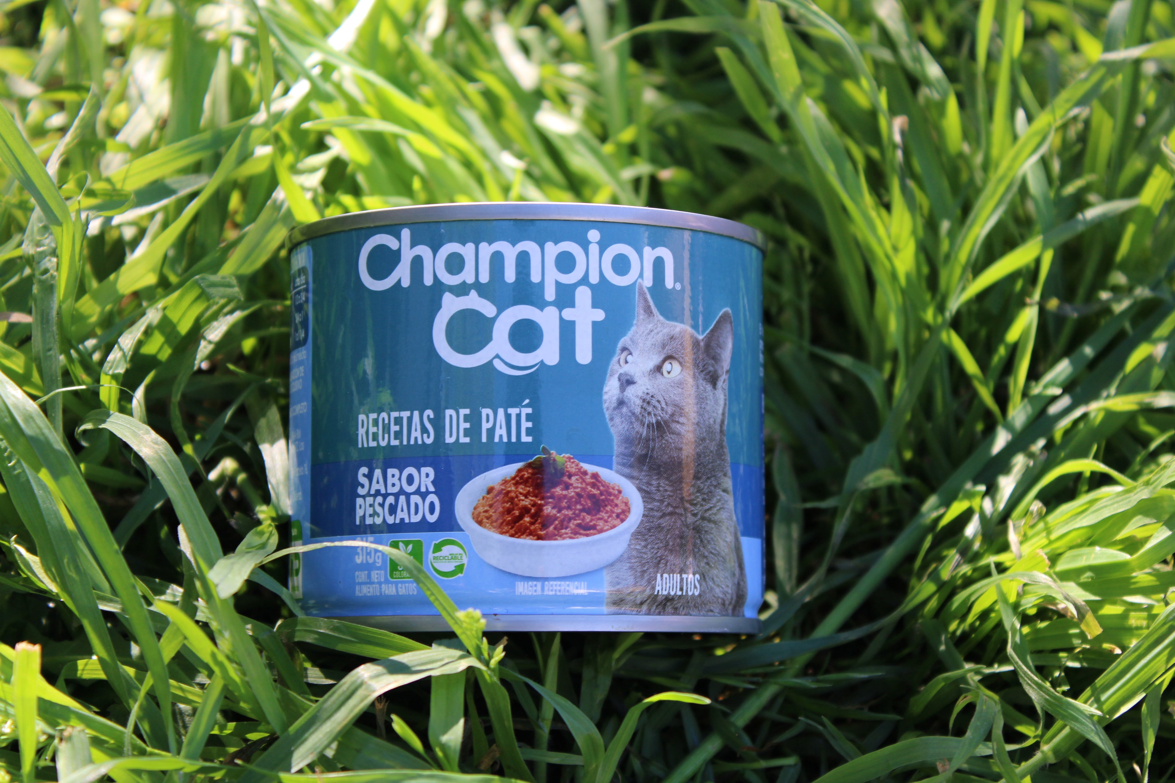 🐟 Lata Champion Cat Paté Sabor Pescado 315 g